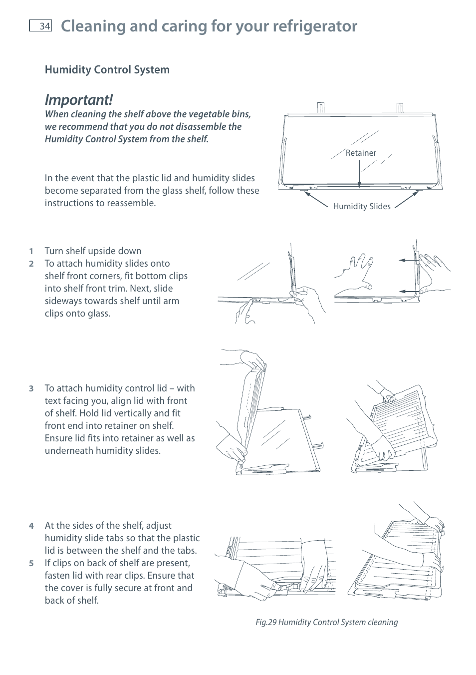 Cleaning and caring for your refrigerator, Important | Fisher & Paykel E522B User Manual | Page 36 / 144