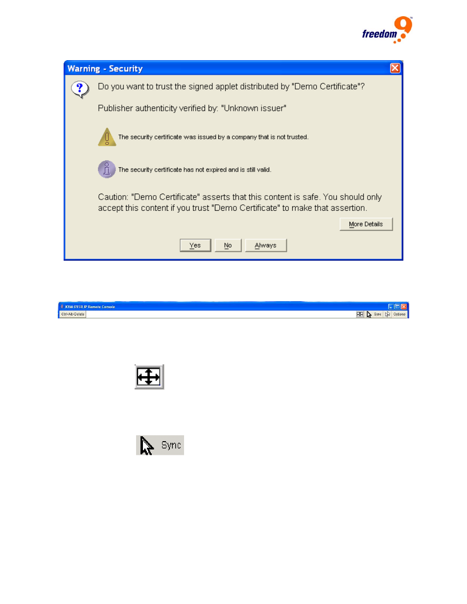 Figure 1-3: java warning, Figure 1-4: remote console | Freedom9 IP 100 User Manual | Page 10 / 81