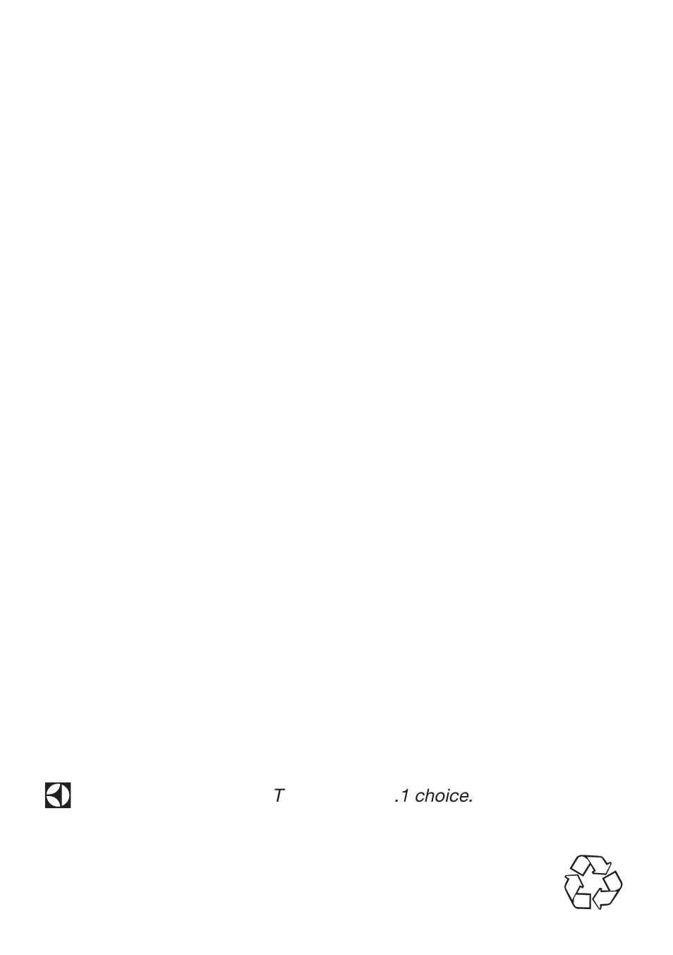 The electrolux group. the world’s no.1 choice | Flymo HT450 User Manual | Page 13 / 13
