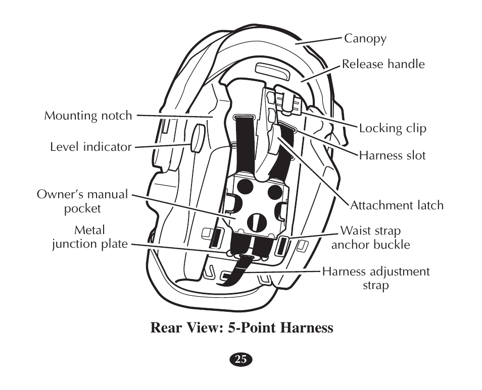 Rear view: 5-point harness | Graco 7427 User Manual | Page 42 / 122