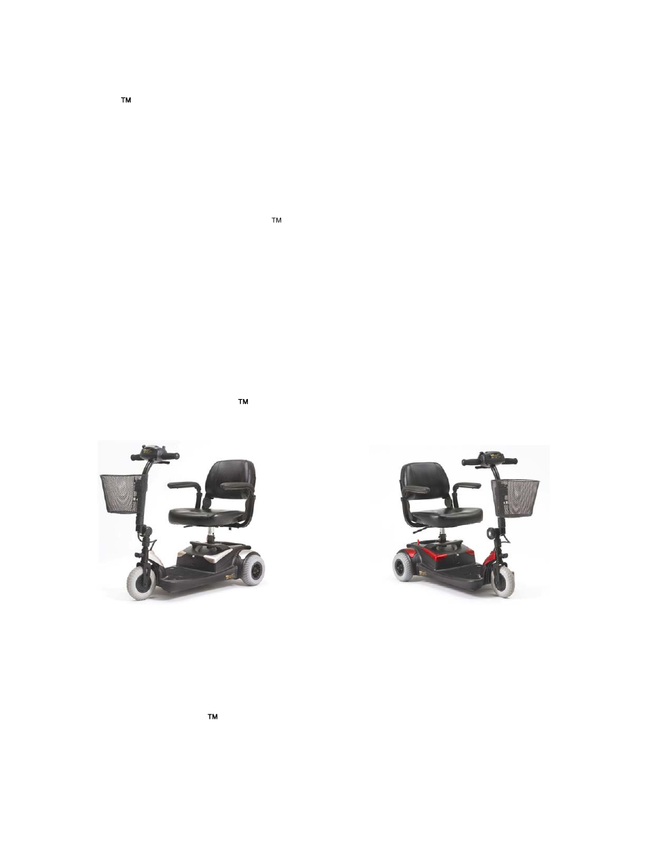 Golden Technologies GB106 User Manual | Page 2 / 40