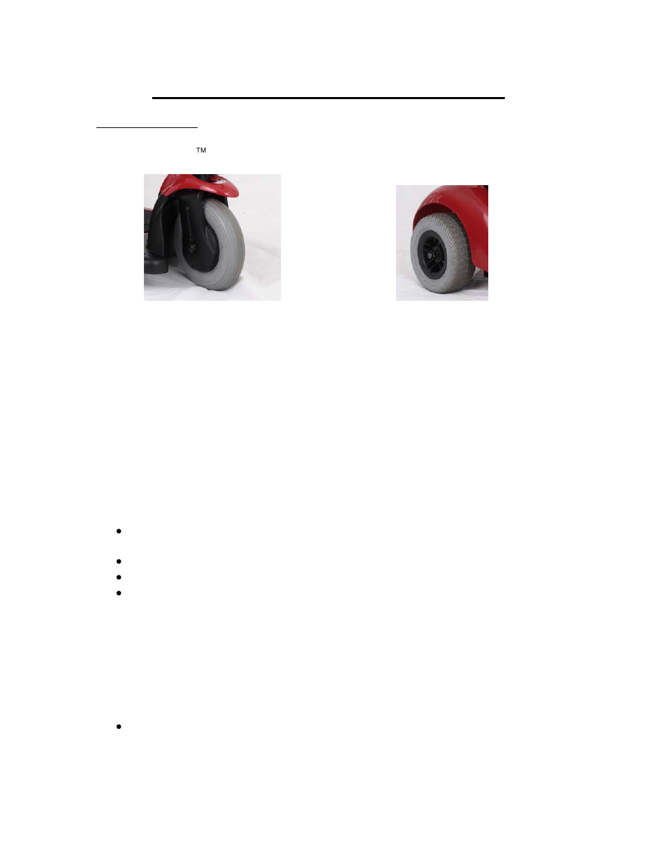 General care and maintenance | Golden Technologies GB 101 User Manual | Page 21 / 44