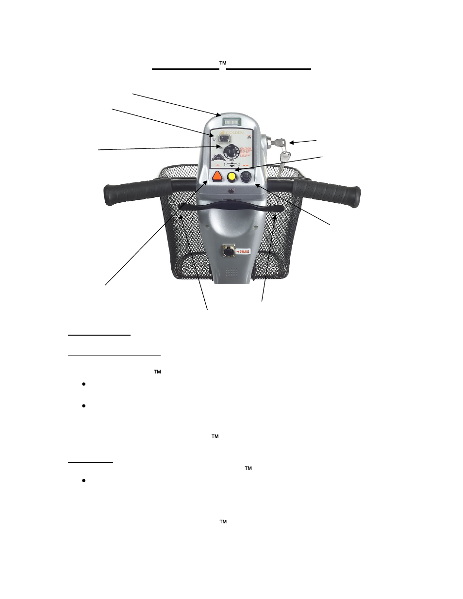 Avenger, Operation | Golden Technologies AVENGER GA 531 User Manual | Page 12 / 38