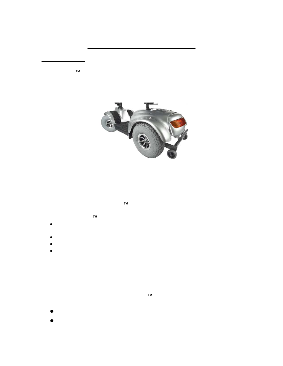 Care and maintenance | Golden Technologies AVENGER GA 531 User Manual | Page 31 / 38