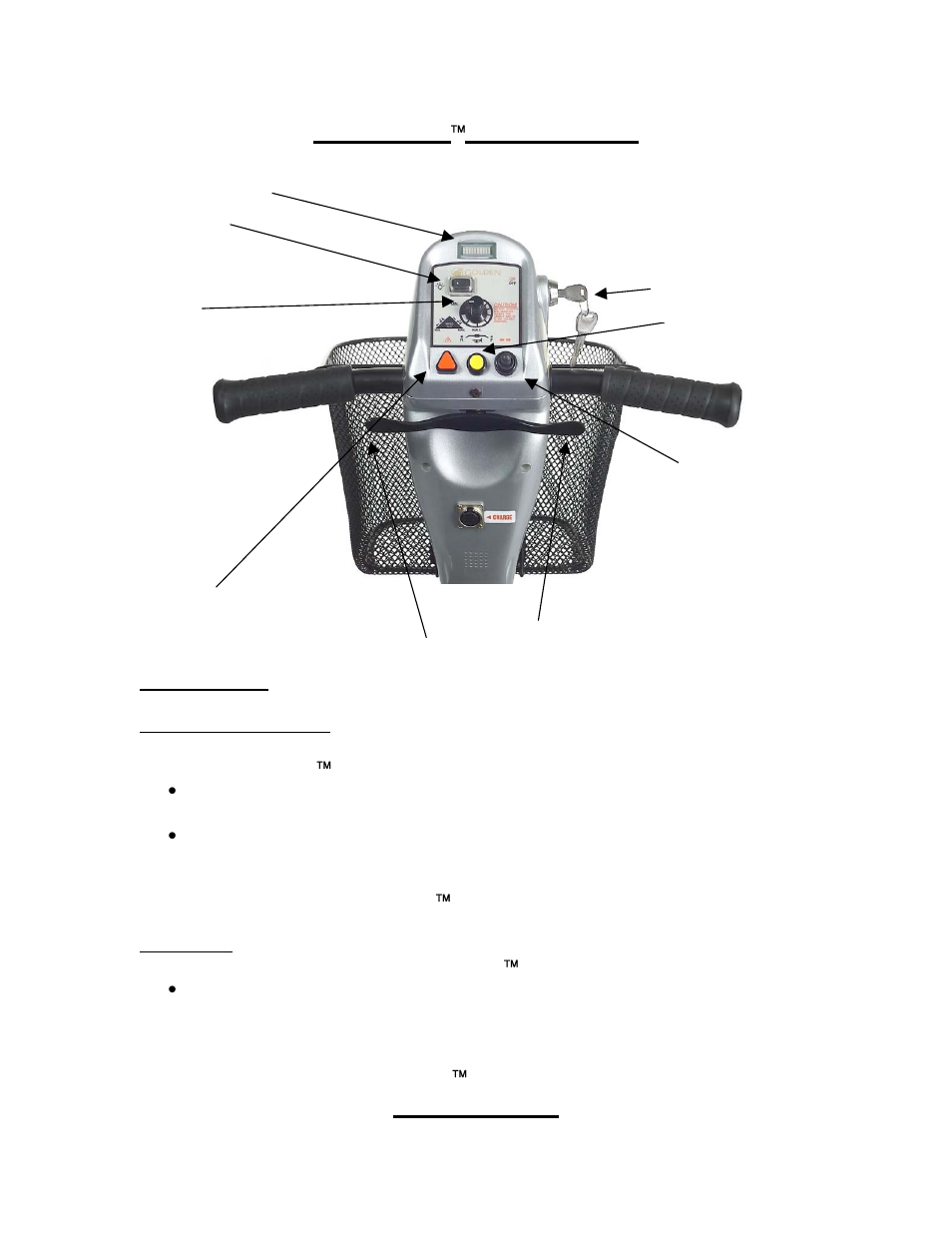 Avenger, Operation | Golden Technologies GA 531 User Manual | Page 12 / 35
