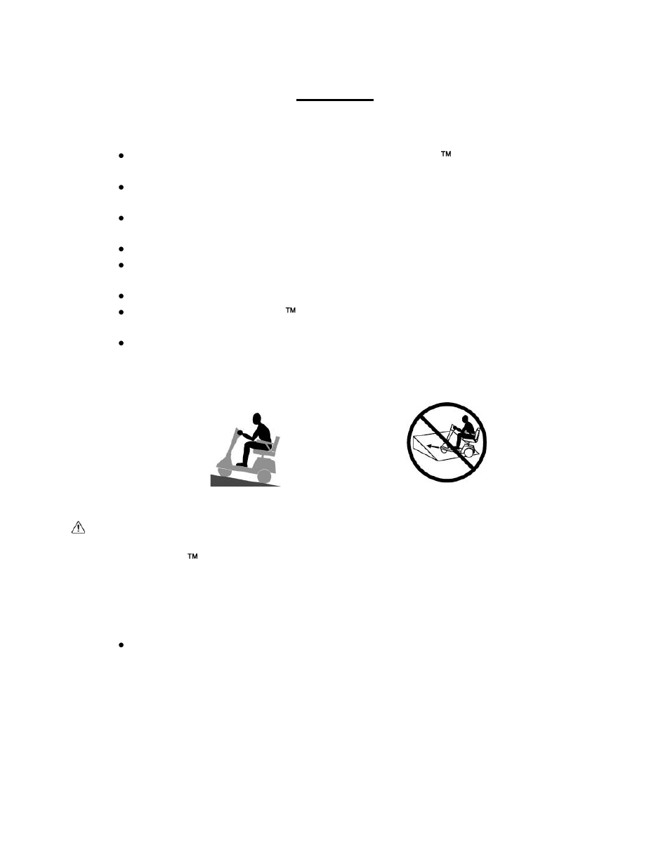 Safety | Golden Technologies GA 541 User Manual | Page 6 / 40