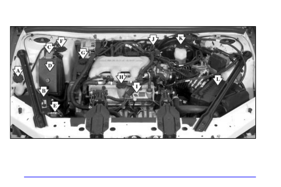 Engine compartment overview | Buick 2002 Century User Manual | Page 260 / 357