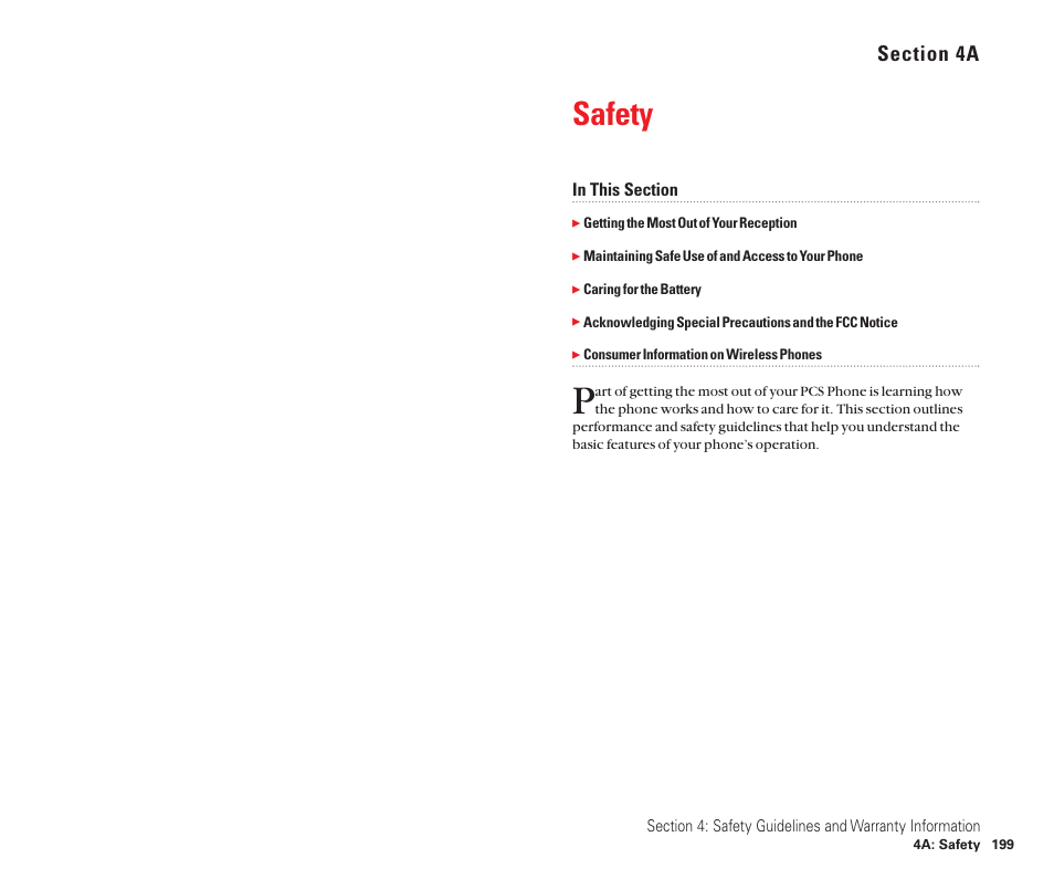 4a. safety, Safety | Sanyo Scp 8100 User Manual | Page 107 / 115