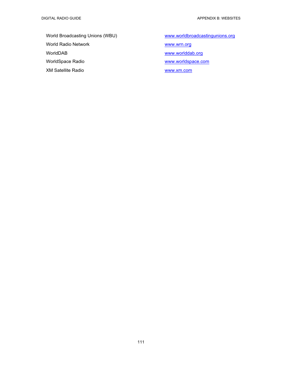 Grundig Digital Radio User Manual | Page 111 / 118