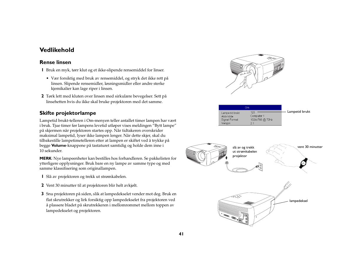 Vedlikehold, Rense linsen, Skifte projektorlampe | Side 41) | Grundig DLPTM Projector User Manual | Page 43 / 47