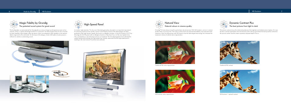 Natural view, Dynamic contrast plus, Magic fidelity by grundig | High-speed panel, Natural colours in cinema quality, The best pictures from light to dark, The patented sound system for great sound | Grundig Flat Panel Television User Manual | Page 4 / 11