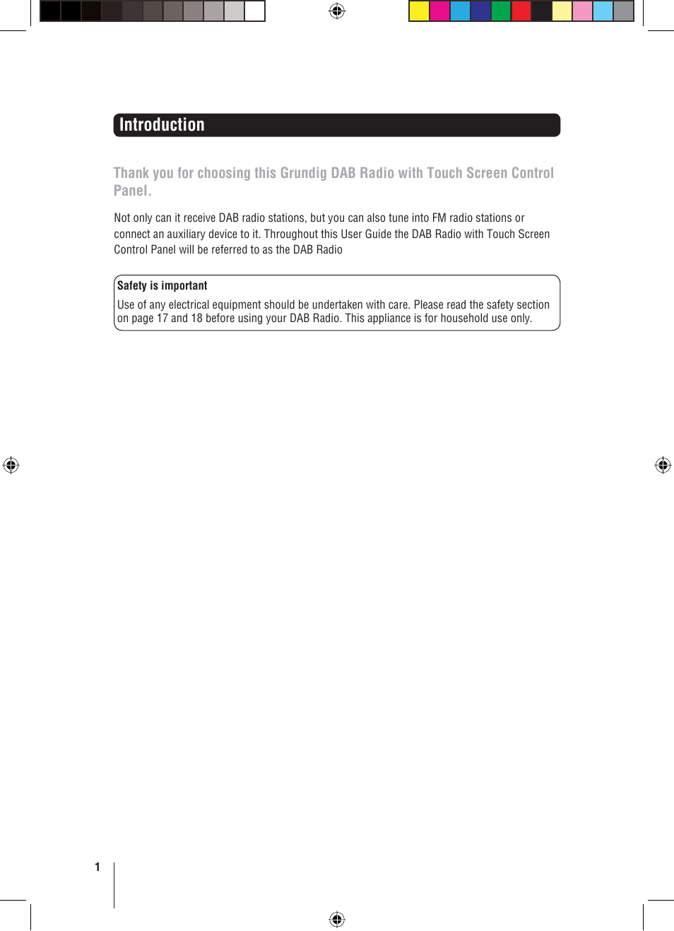 Introduction | Grundig GUSR91DAB User Manual | Page 2 / 21