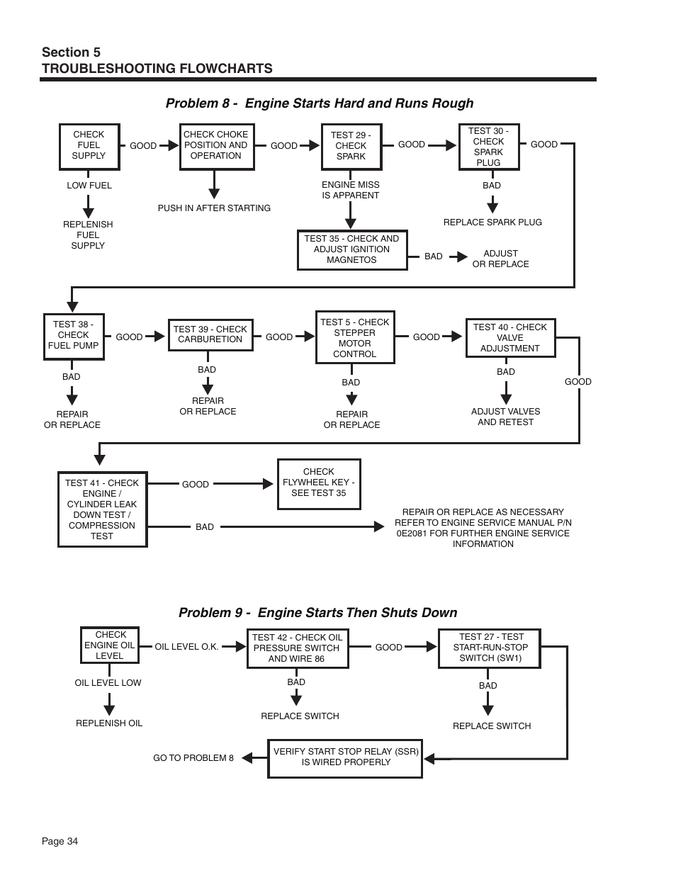 Problem 8 - engine starts hard and runs rough, Problem 9 - engine starts then shuts down | Guardian Technologies 5209 User Manual | Page 36 / 90