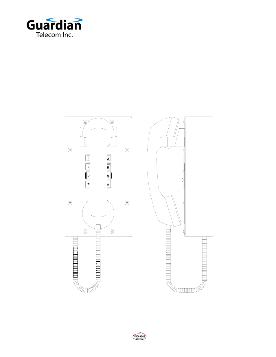 Guardian Technologies CIT-40 User Manual | 12 pages