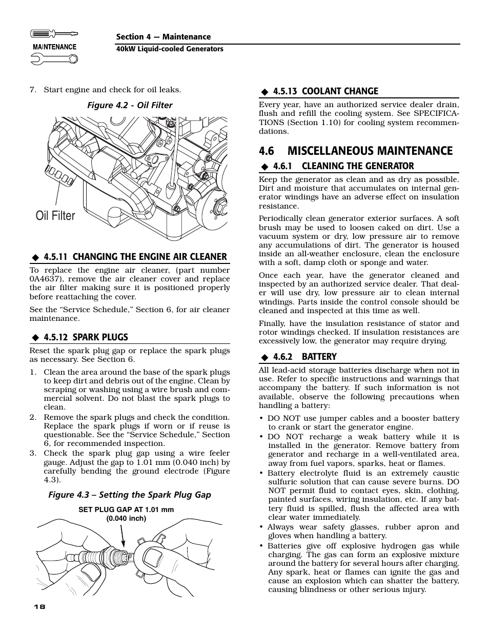 Oil filter, 6 miscellaneous maintenance | Guardian Technologies 004992-2 User Manual | Page 20 / 48