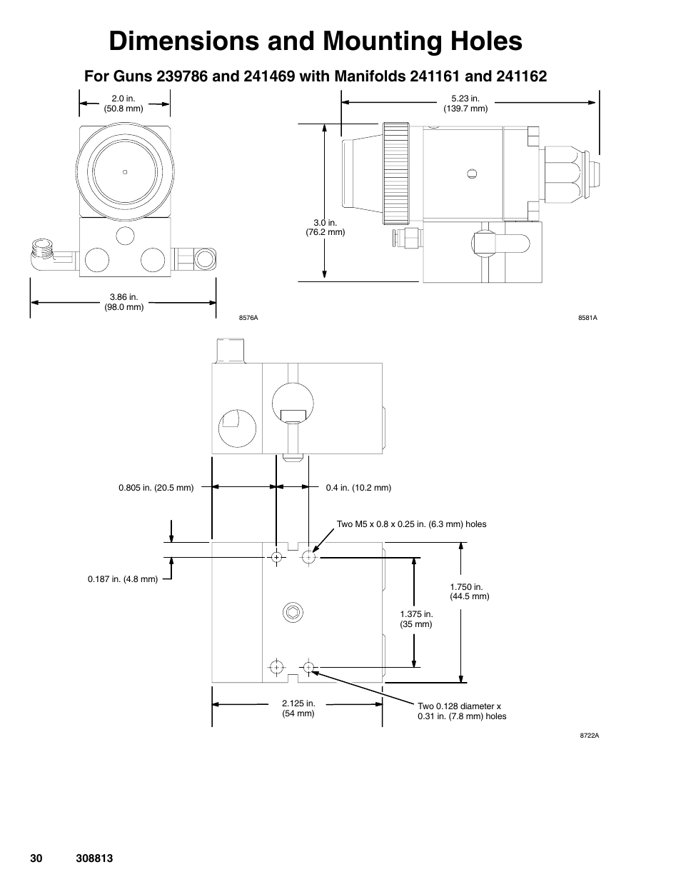 Dimensions and mounting holes | Graco Inc. 233670 User Manual | Page 30 / 32