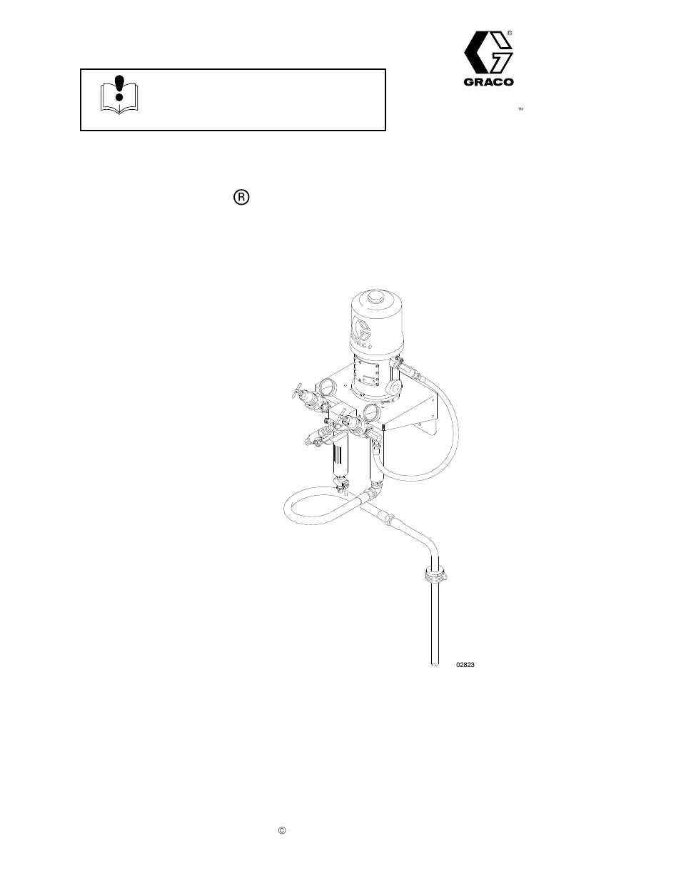 Graco Inc. 236-066 User Manual | 12 pages