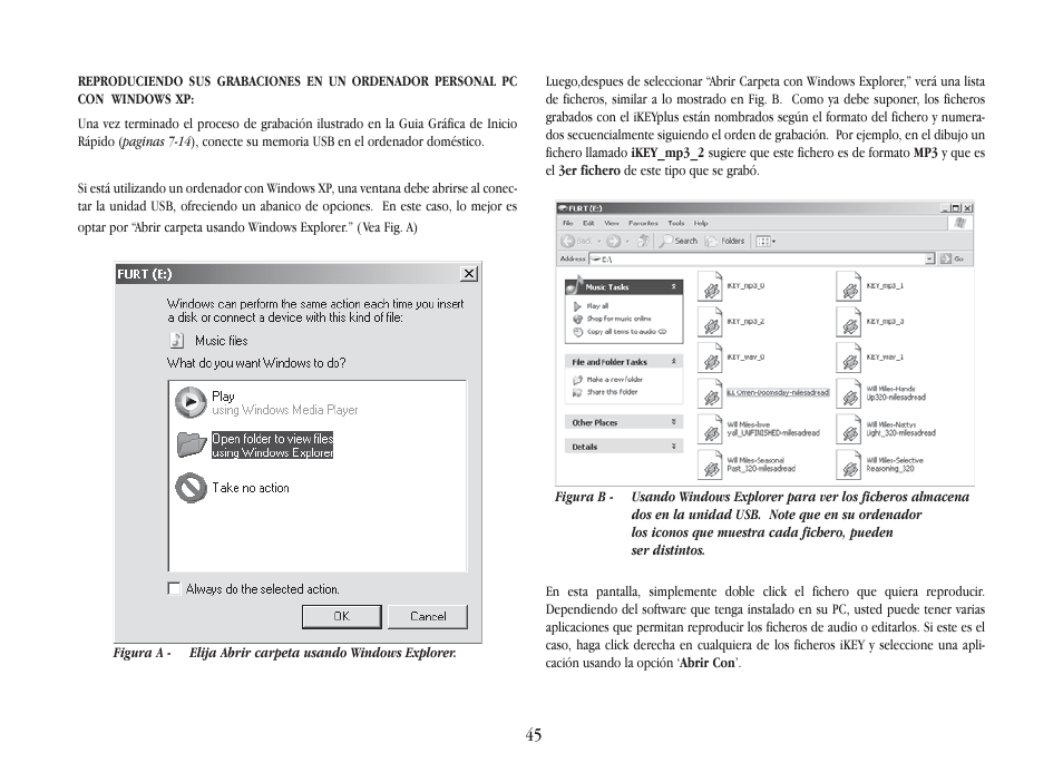Gemini iKEYplus User Manual | Page 45 / 109