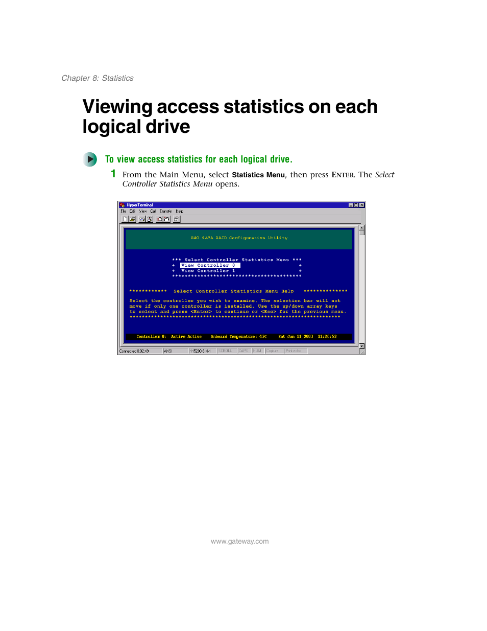 Viewing access statistics on each logical drive | Gateway 840 VT-100 User Manual | Page 171 / 250