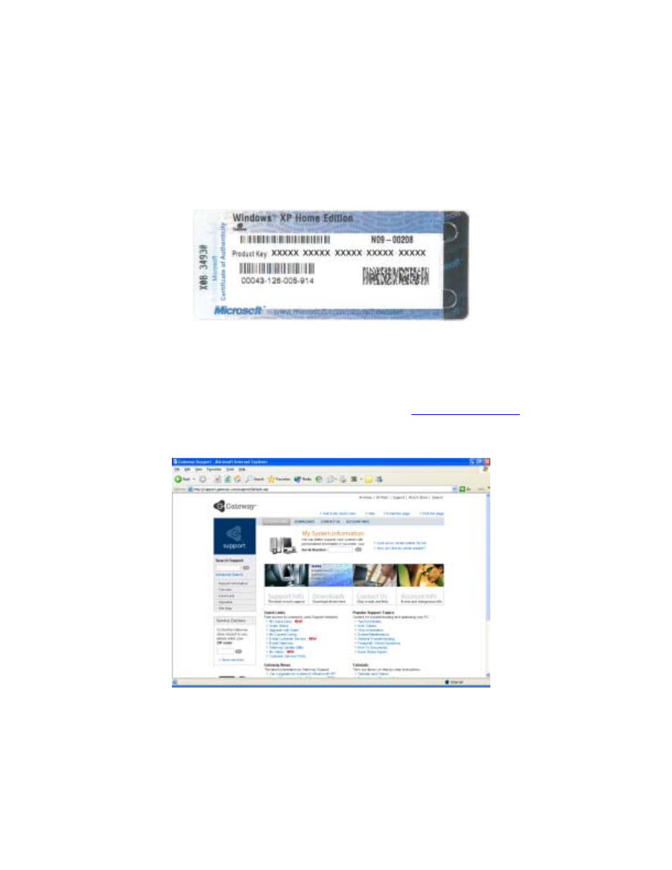 Microsoft certificate of authenticity, Finding your specifications | Gateway Tablet PC User Manual | Page 22 / 304