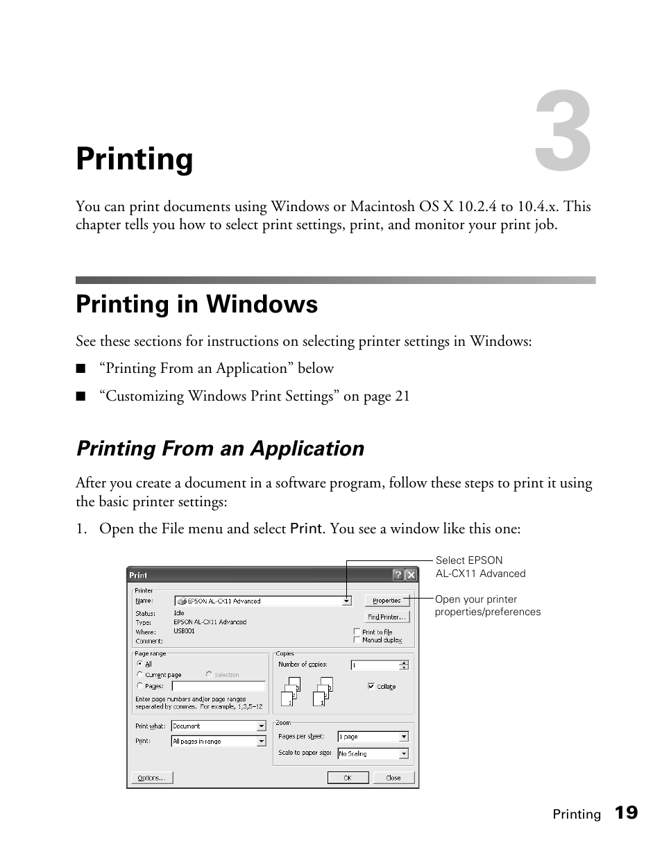 Printing, Printing in windows, Printing from an application | Epson CX11NF User Manual | Page 19 / 144