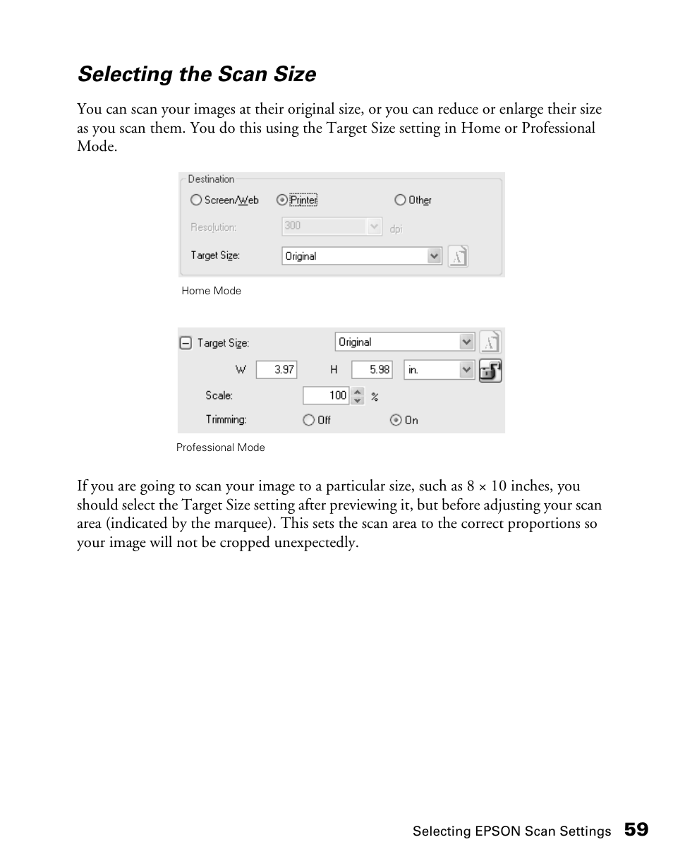 Selecting the scan size | Epson CX11NF User Manual | Page 59 / 144