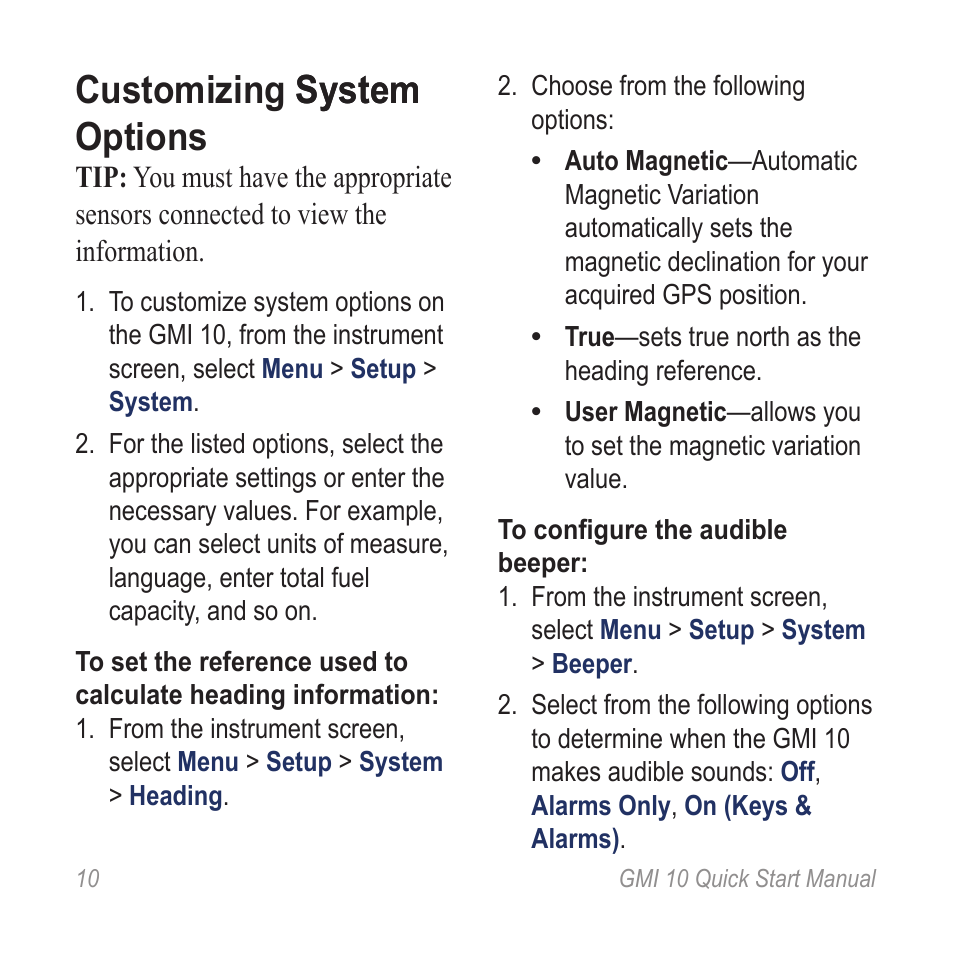 Customizing system options, Customizing system system options | Garmin 190-01015-01 User Manual | Page 10 / 20