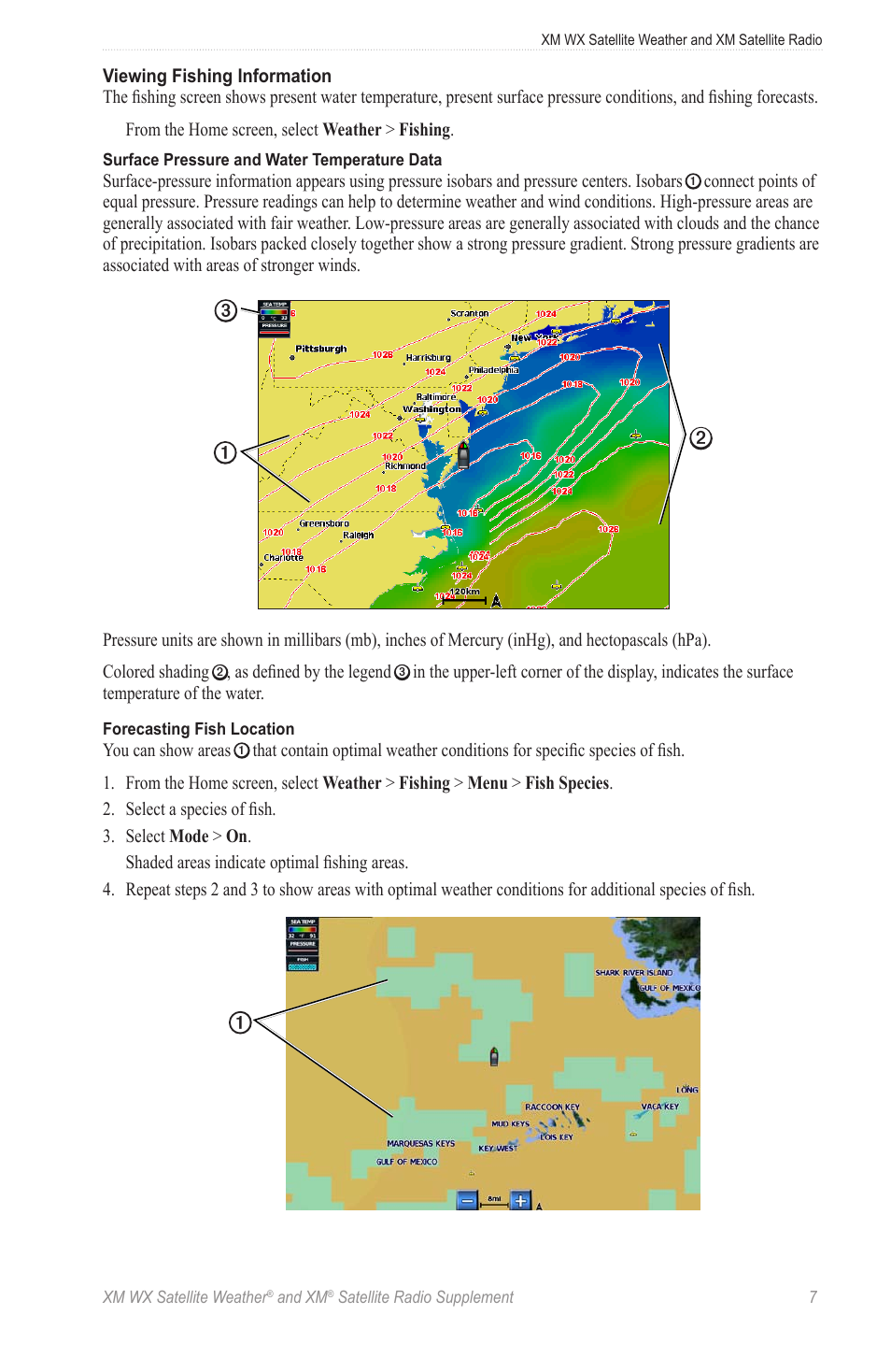 Garmin XM WX User Manual | Page 11 / 22