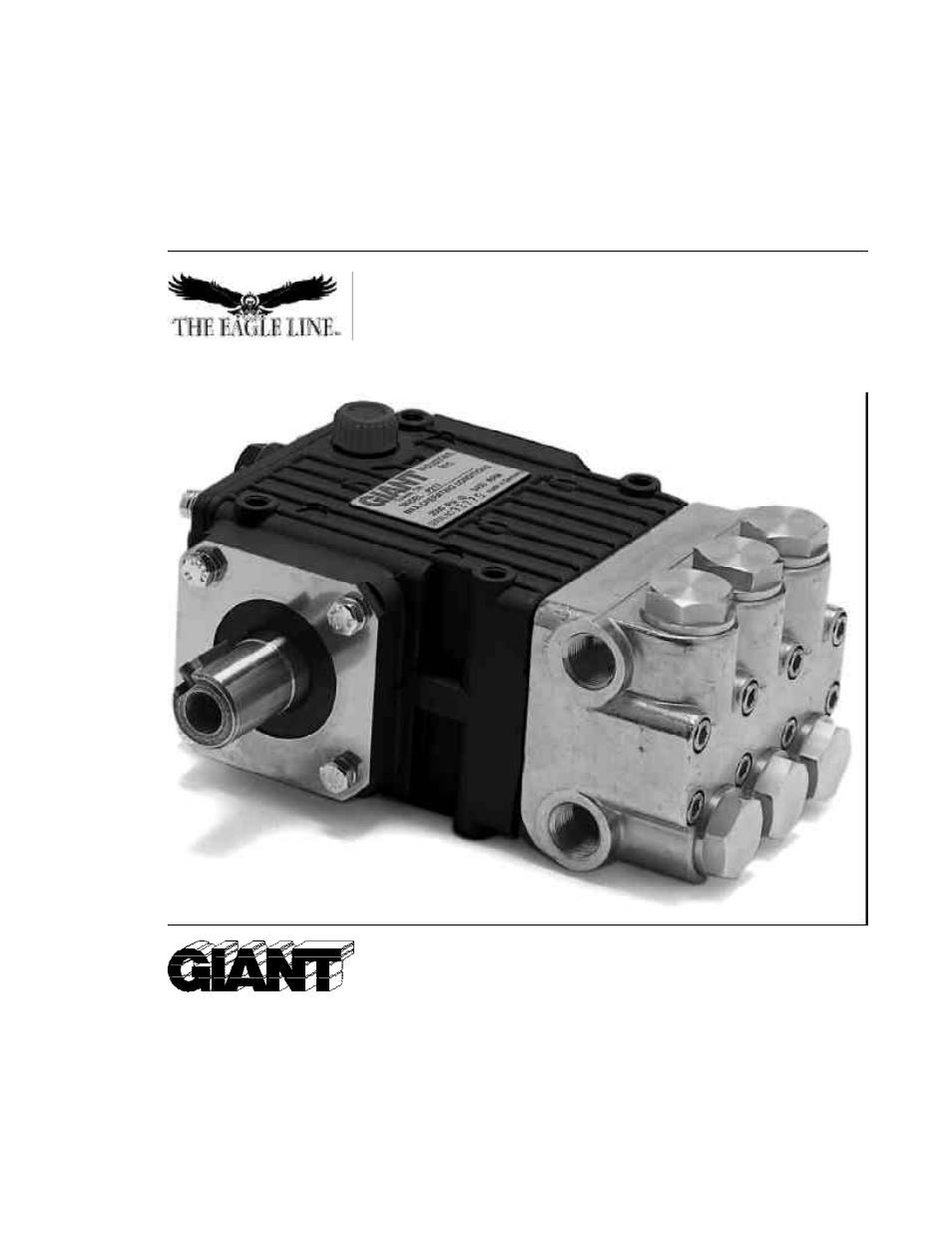 Giant P217 User Manual | 16 pages