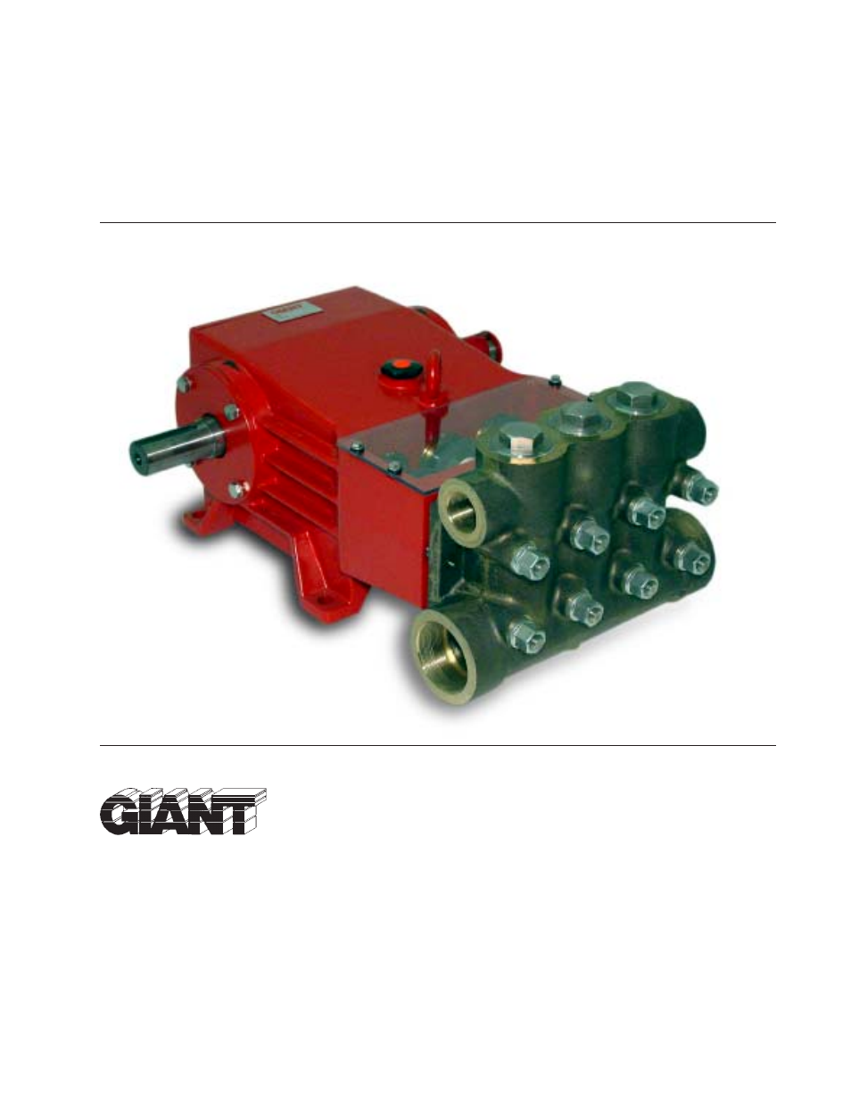 Giant GP6132 User Manual | 8 pages