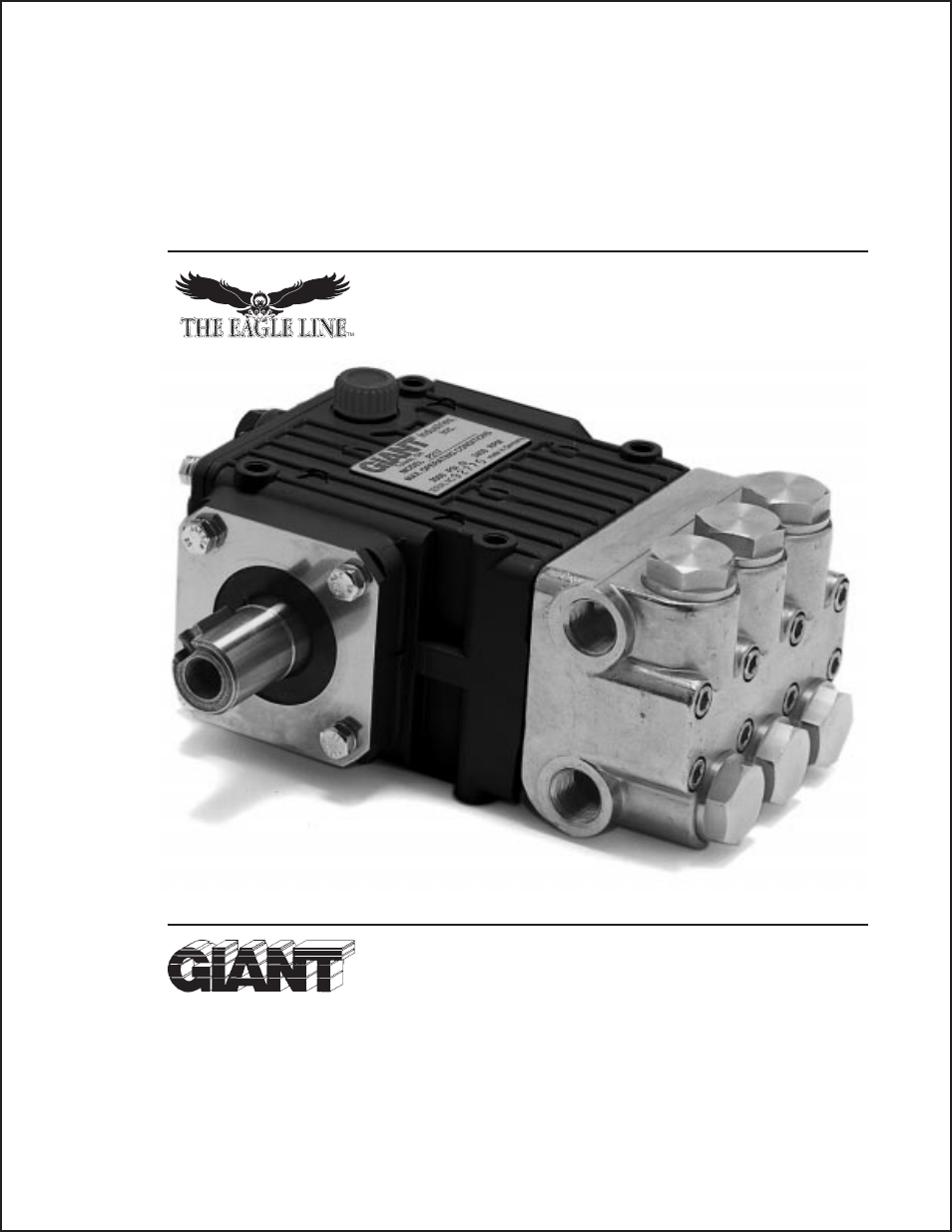 Giant THE EAGLE LINE P206 User Manual | 11 pages