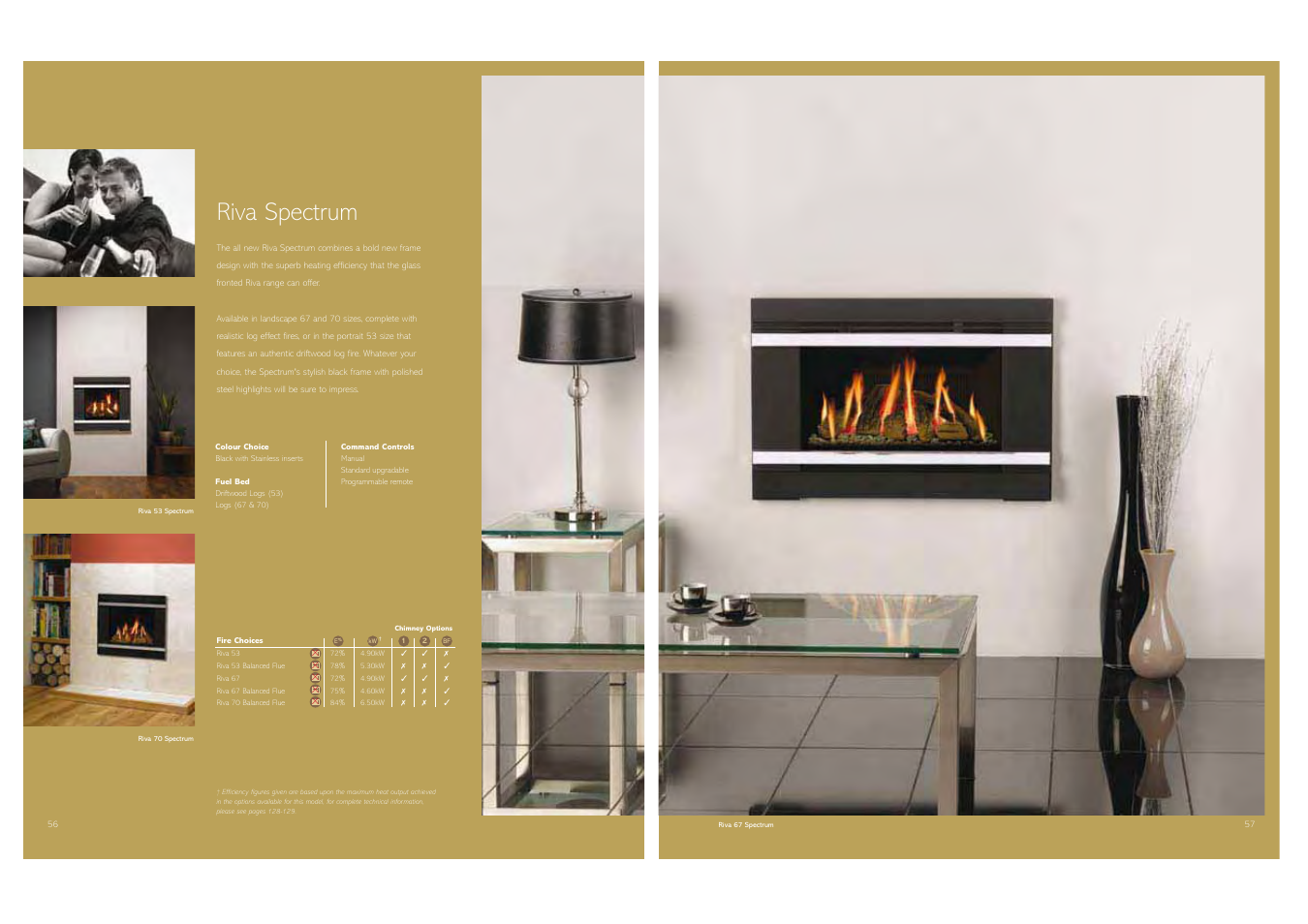 Riva spectrum | Stovax Gas and Electric Fires User Manual | Page 29 / 70