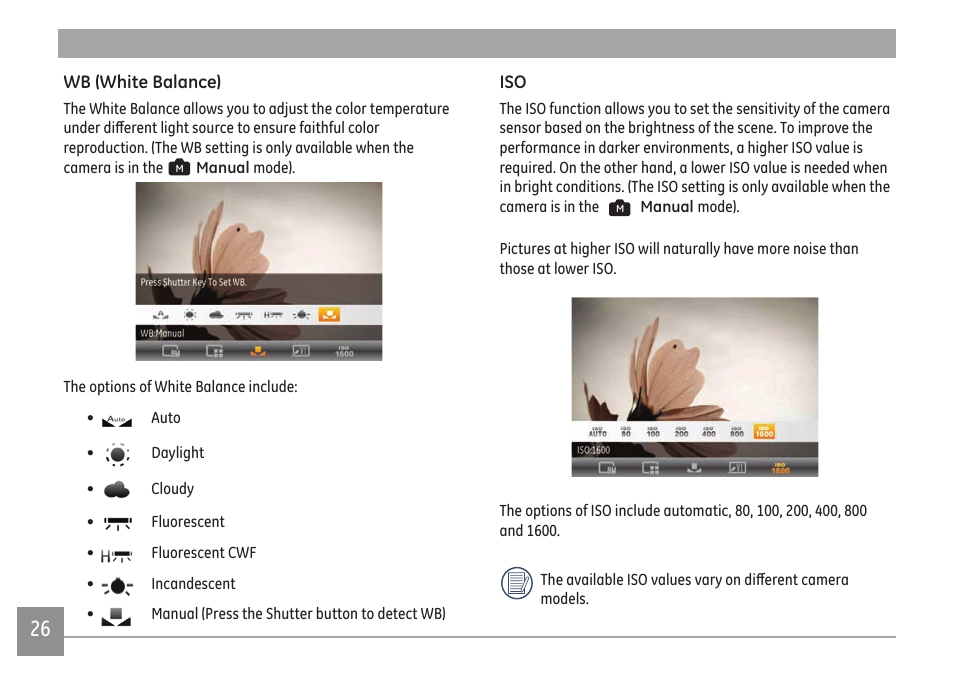 GE A Series : A1255 User Manual | Page 29 / 93