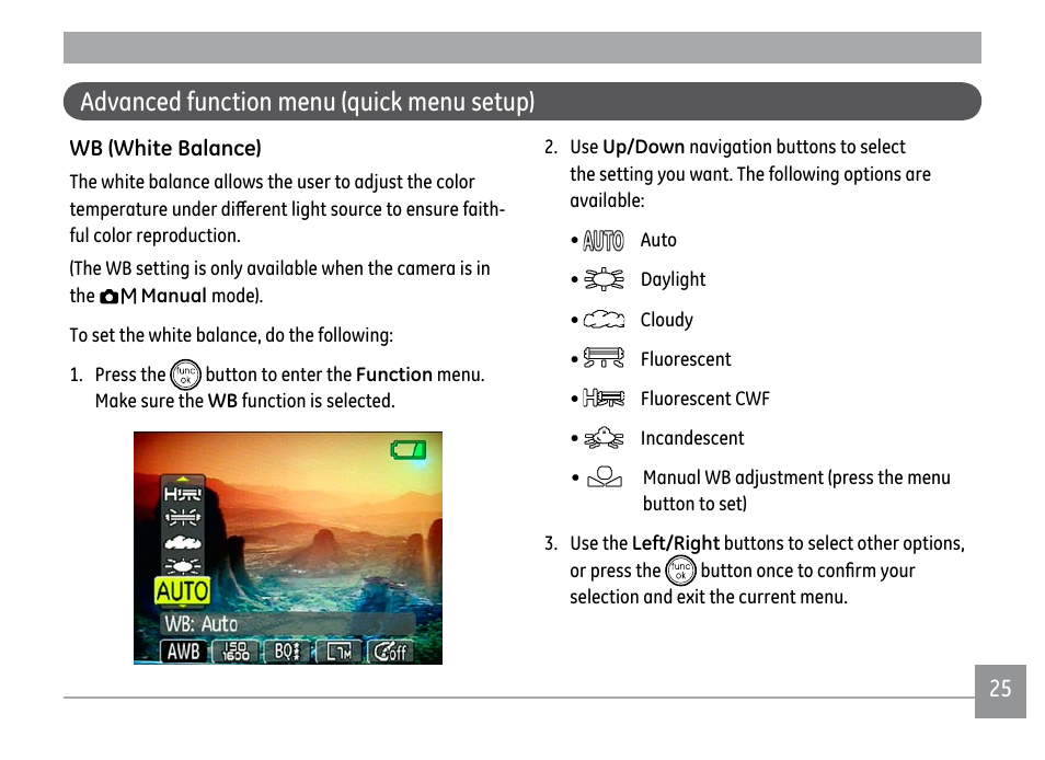 Advanced function menu (quick menu setup) | GE A1250 User Manual | Page 29 / 106