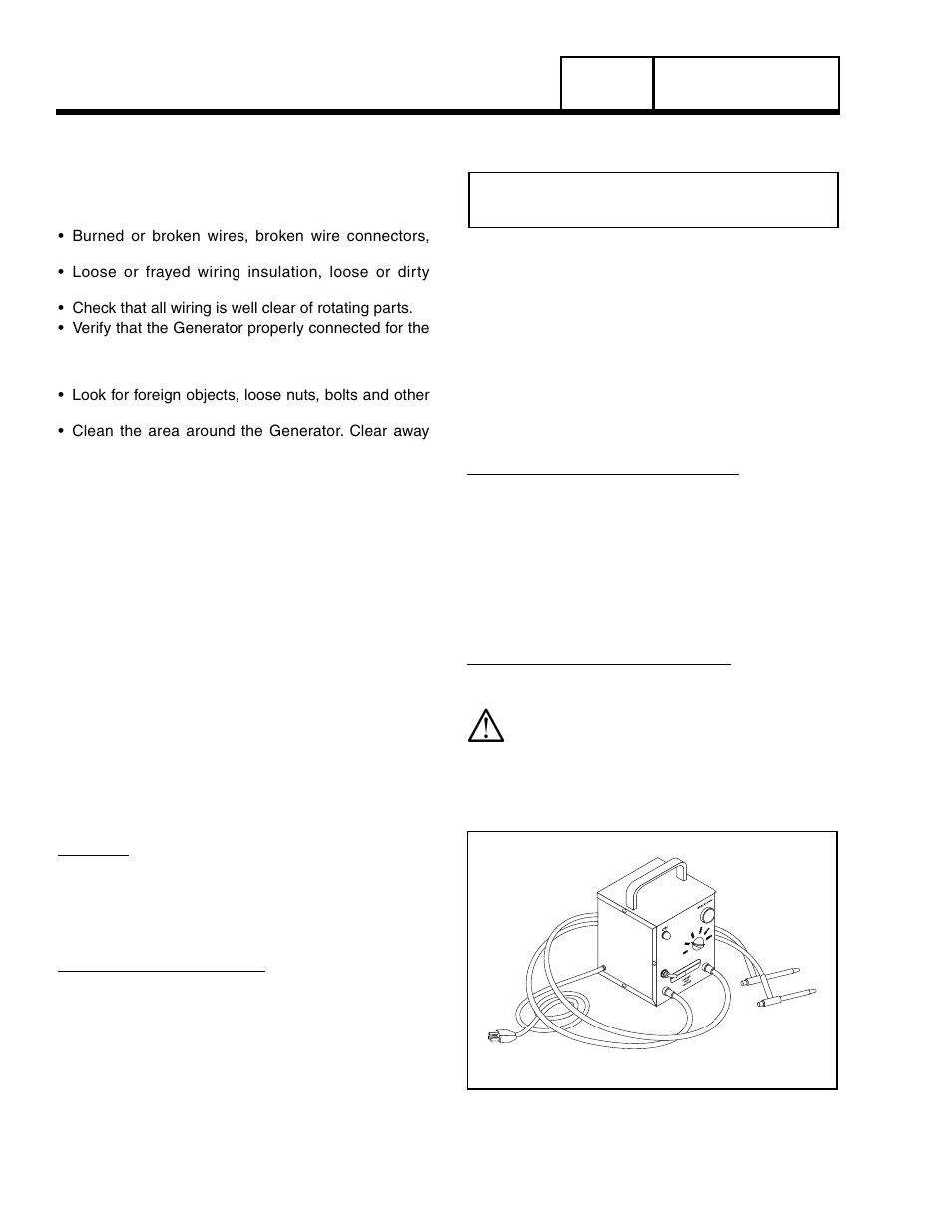 Visual inspection, Insulation resistance, The megohmmeter | Generac Power Systems 8 kW LP User Manual | Page 24 / 192