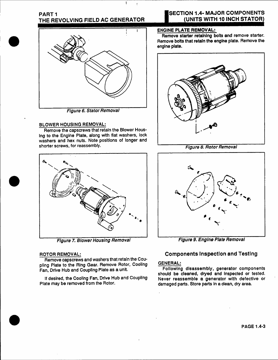 Generac Power Systems 53187 User Manual | Page 21 / 152