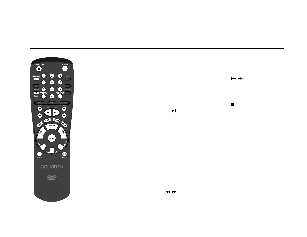 Dvd function buttons | Go-Video DVS3100 User Manual | Page 19 / 59