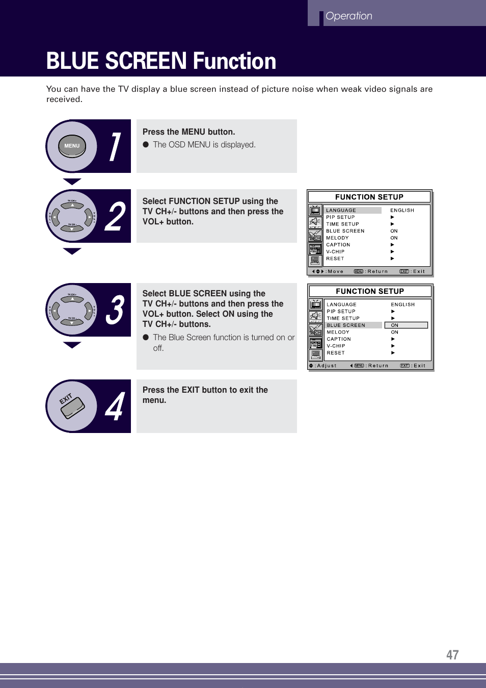 Blue screen function | Go-Video TW1730 User Manual | Page 47 / 72