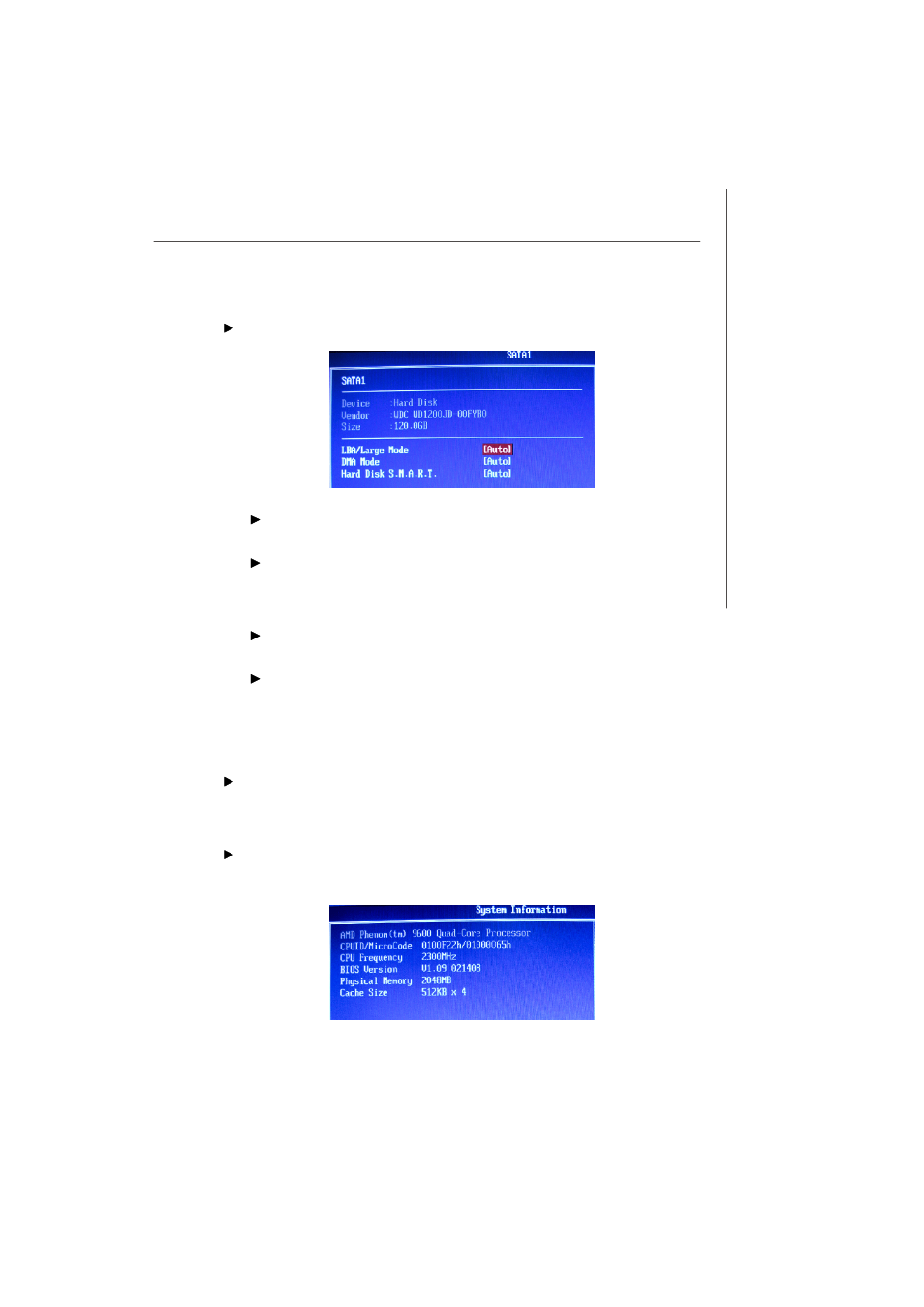 MSI MS-7304 User Manual | Page 37 / 52