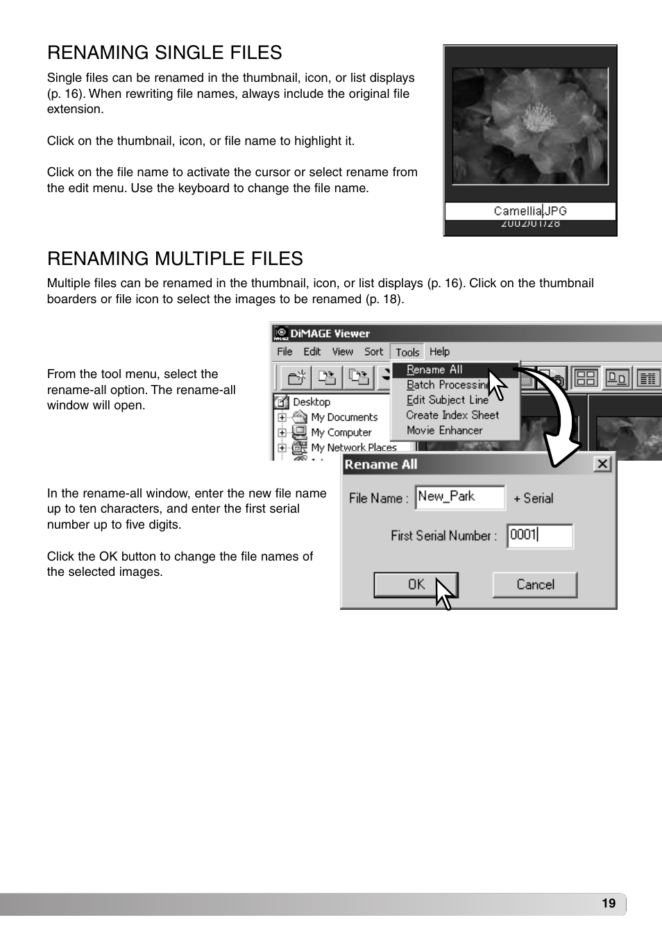 Renaming single files renaming multiple files, Renaming multiple files, Renaming single files | Minolta DiMAGE Viewer User Manual | Page 19 / 92