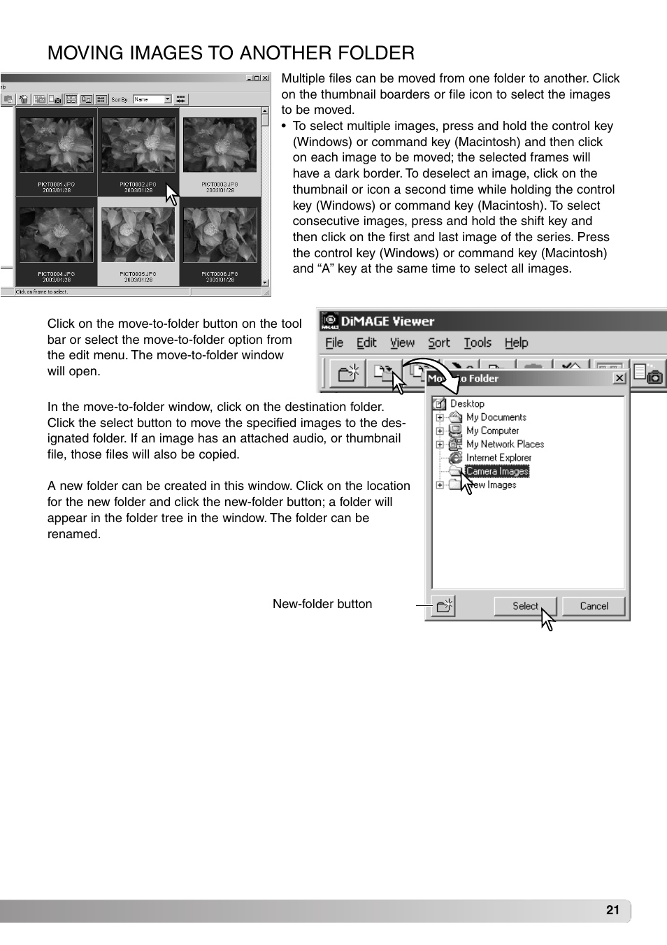 Moving images to another folder | Minolta DiMAGE Viewer User Manual | Page 21 / 92