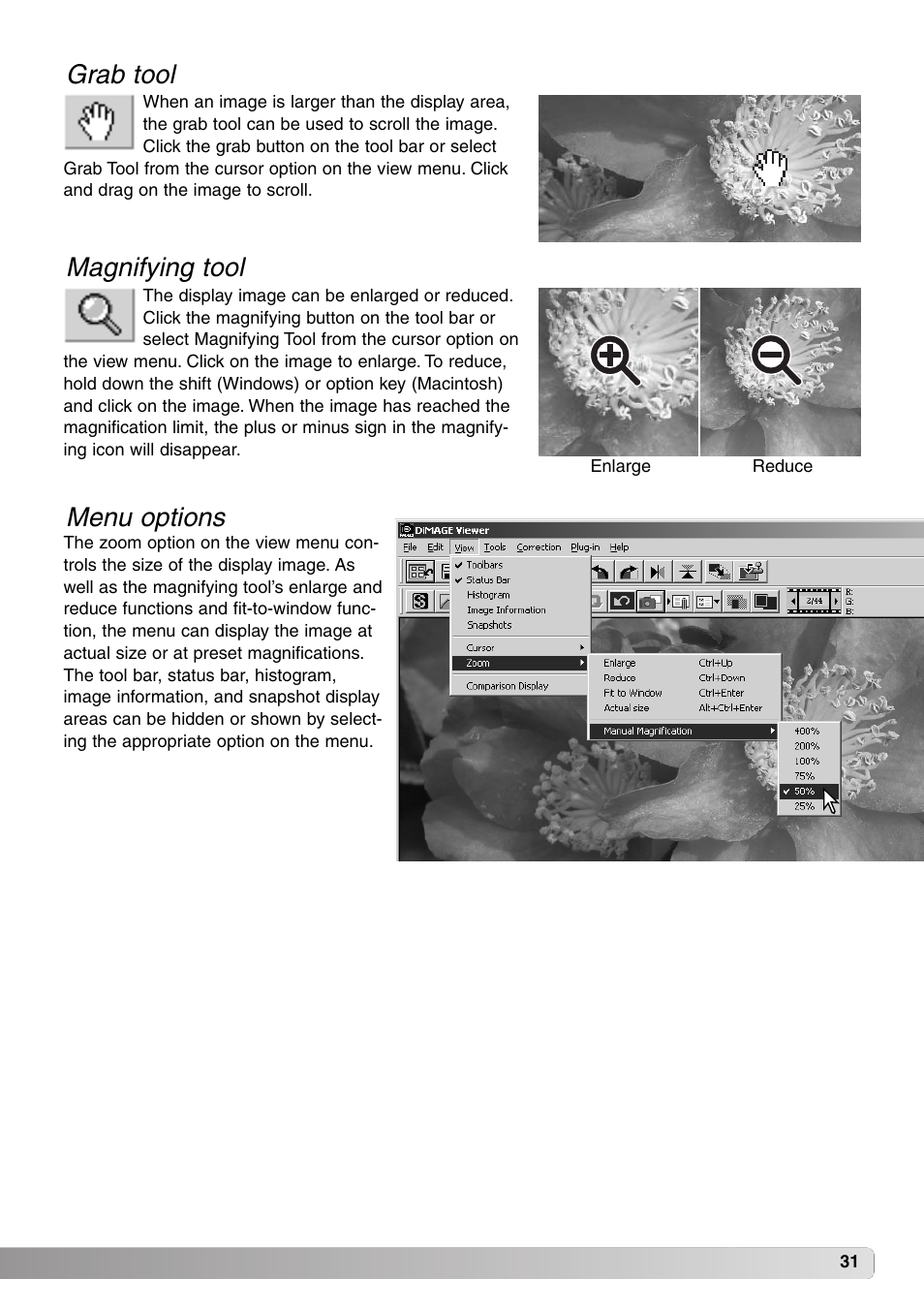 Grab tool magnifying tool menu options, Grab tool magnifying tool, Menu options | Minolta DiMAGE Viewer User Manual | Page 31 / 92