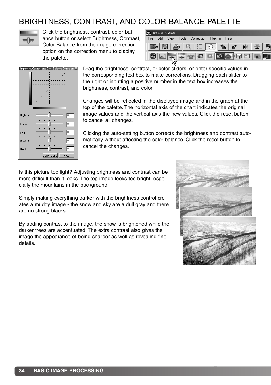 Brightness, contrast, and color-balance palette | Minolta DiMAGE Viewer User Manual | Page 34 / 92