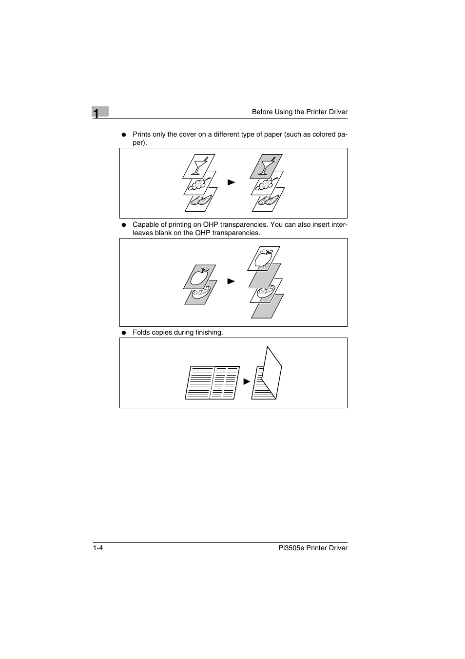 Minolta Pi3505e User Manual | Page 13 / 114