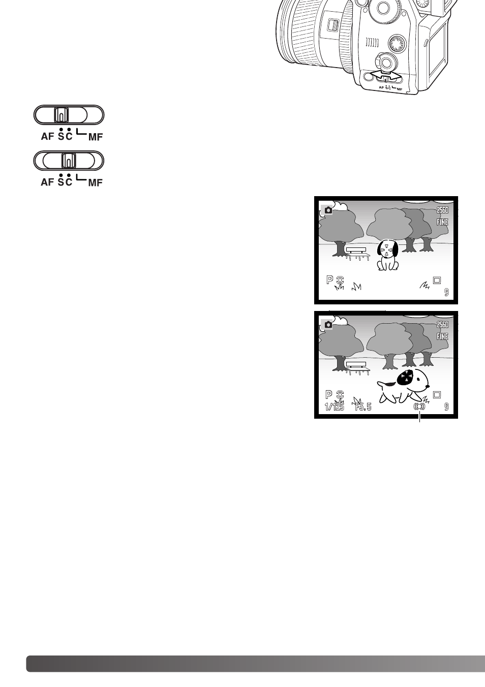 Focus-mode switch | Minolta Dimage A1 User Manual | Page 46 / 172