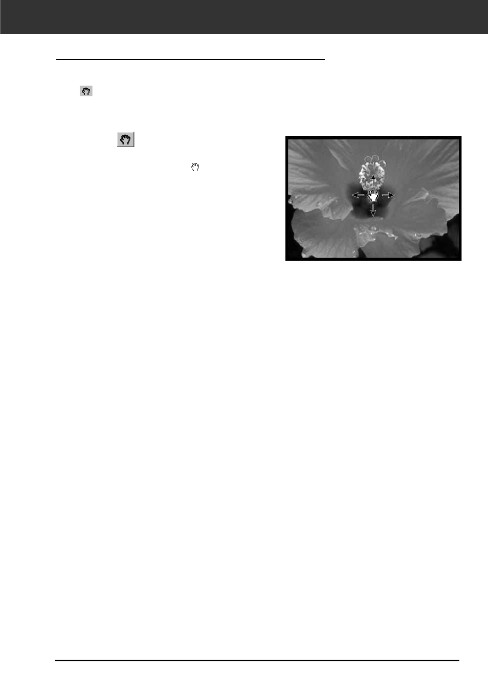 Scroll | Minolta DIMAGE SCAN DUAL II AF-2820U User Manual | Page 55 / 109