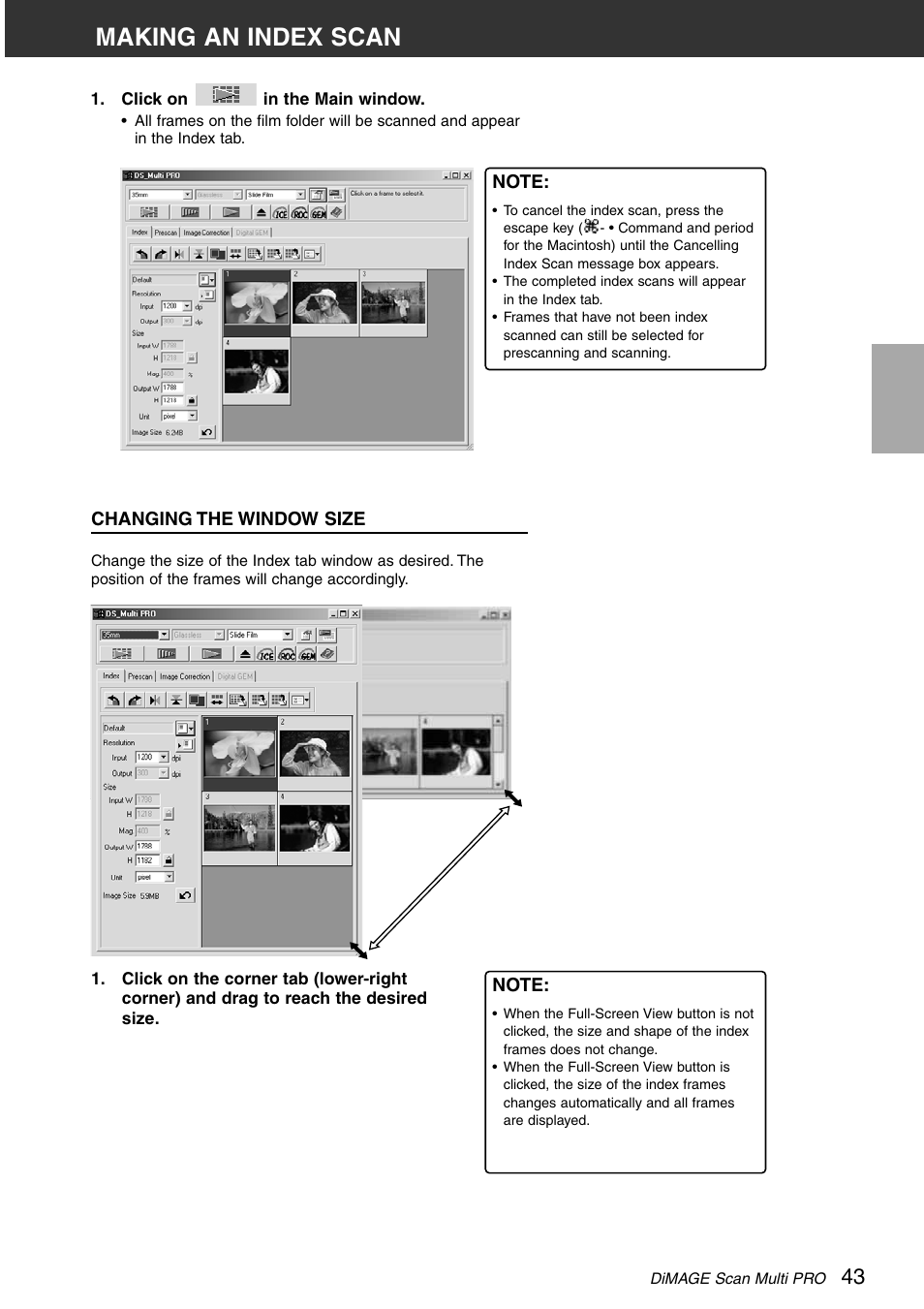 Making an index scan, Changing the window size | Minolta DiMAGE Scan Multi PRO AF-5000 User Manual | Page 43 / 129