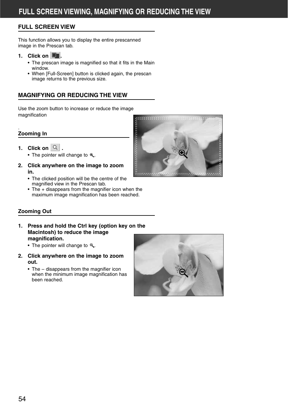 Full screen view magnifying or reducing the view | Minolta DiMAGE Scan Multi PRO AF-5000 User Manual | Page 54 / 129