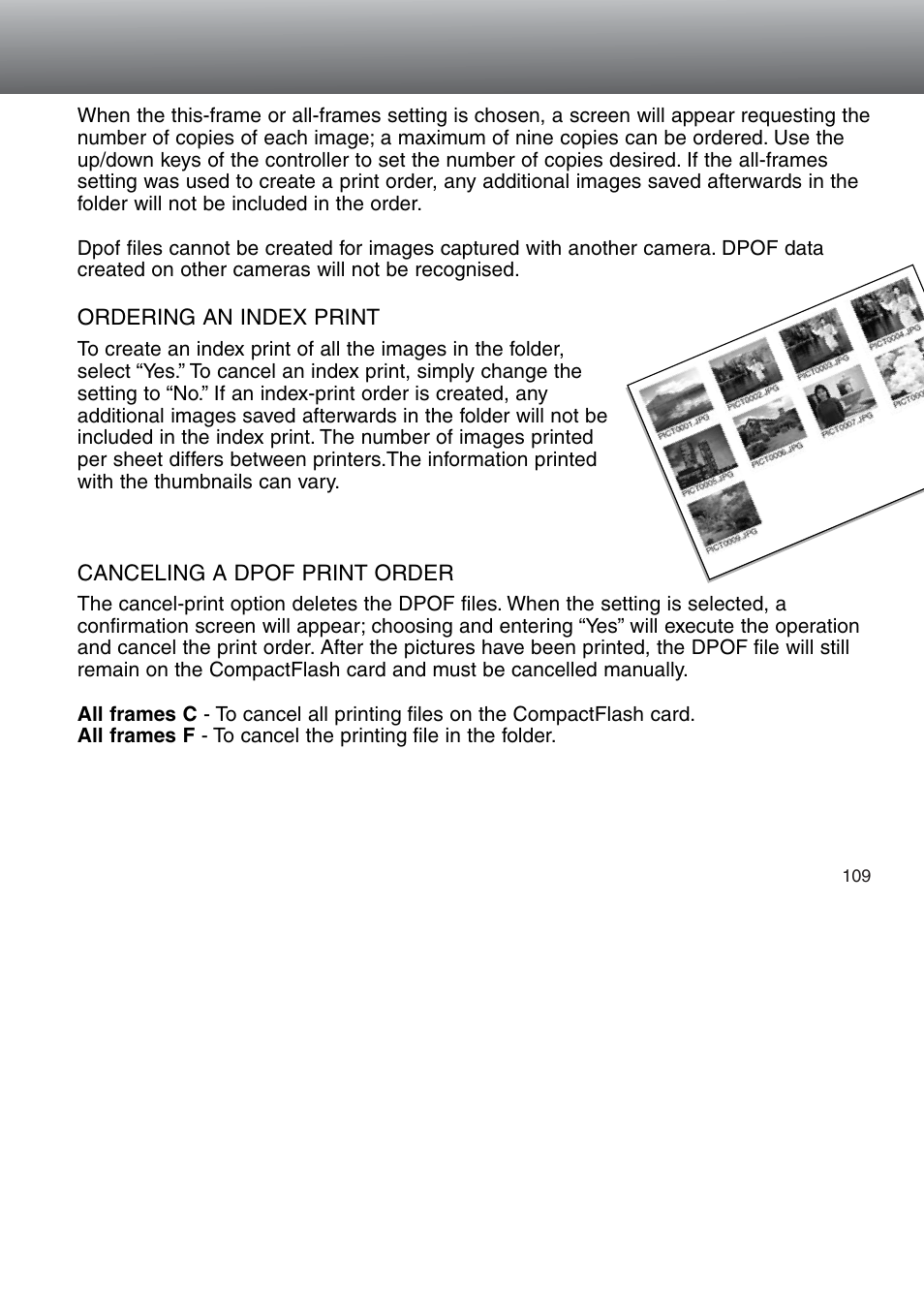 Minolta Dimage 5 User Manual | Page 109 / 150