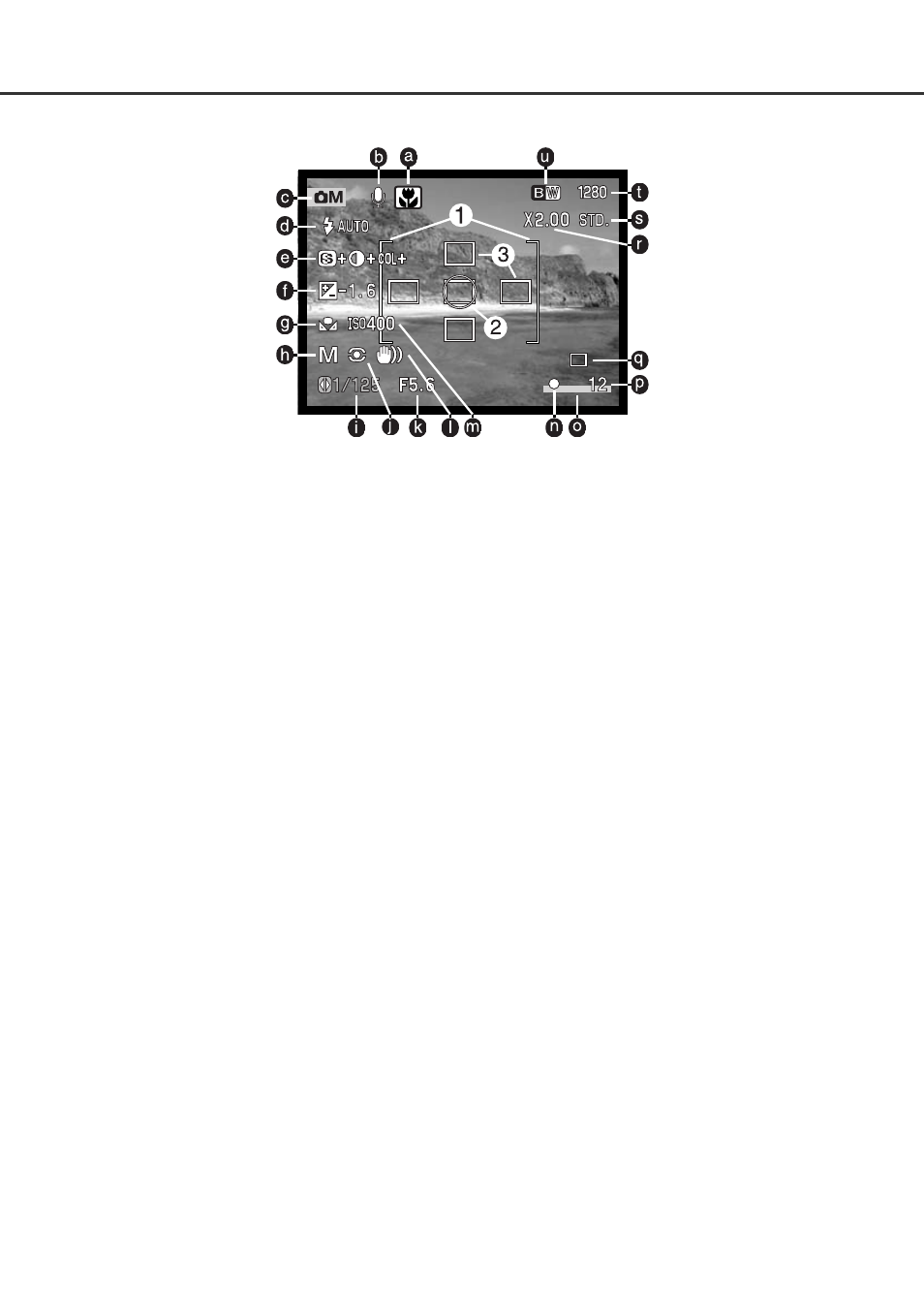 Multi-function recording mode display | Minolta Dimage F100 User Manual | Page 55 / 128